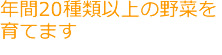 年間20種以上の野菜を育てます