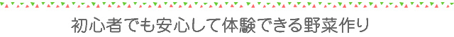 初心者でも安心して体験できる野菜づくり
