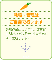 栽培・管理は自身でできます